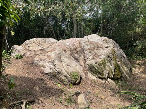 4c38e2cf 134a 49f8 ae7a b8d51e1a9464 4 5005 c