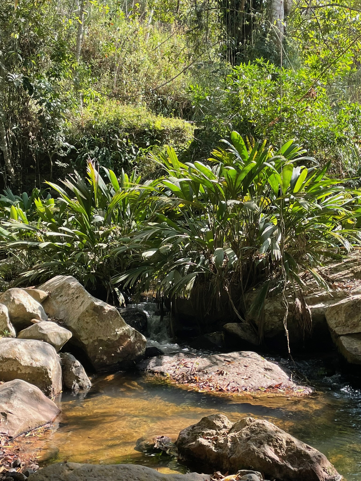 5926b286 c4bb 4f2a 8bf8 a605d7e9012d