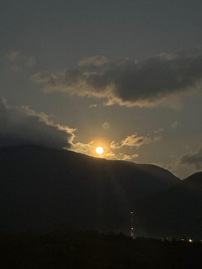 70ddd94b 3a67 4fe2 b3f6 1b373aee80b4